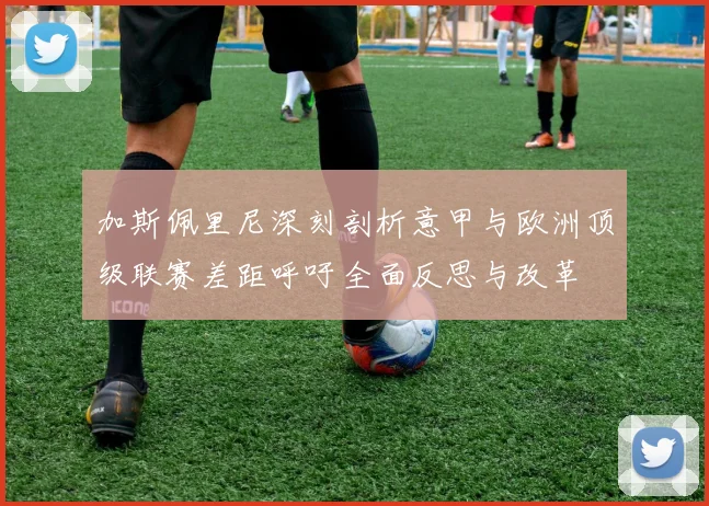 加斯佩里尼深刻剖析意甲与欧洲顶级联赛差距呼吁全面反思与改革